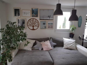 Neue Etagenwohnung am Rhein